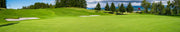 Best Insoles for Golfing
